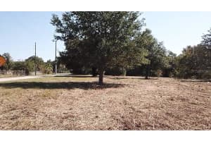 KEENE RD, UMATILLA, FL 32784 - MLS#MFRO6355565