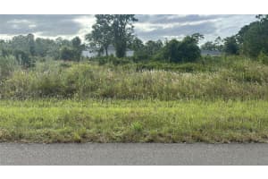 745 AVONDALE STREET, LEHIGH ACRES, FL 33974 - MLS#MFRO6355613