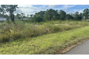 745 AVONDALE STREET, LEHIGH ACRES, FL 33974 - MLS#MFRO6355613