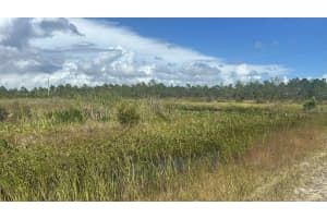 16057 308TH STREET, OKEECHOBEE, FL 34972 - MLS#MFRO6355615