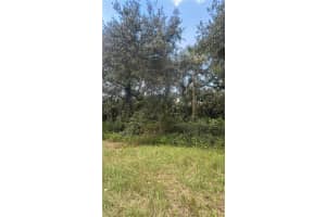 17875 254TH STREET, OKEECHOBEE, FL 34972 - MLS#MFRO6355636