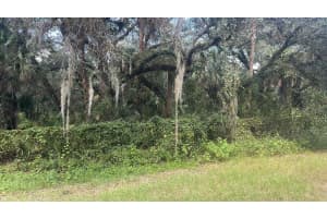 17875 254TH STREET, OKEECHOBEE, FL 34972 - MLS#MFRO6355636