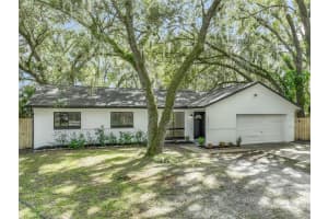 10217 BELGROVE PLACE, ORLANDO, FL 32817 - MLS#MFRO6355702