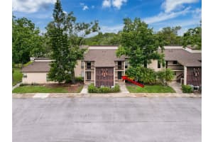 1200 TARPON WOODS BLVD #L4, PALM HARBOR, FL 34685 - MLS#MFRO6355799