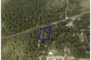 44748 BALDPATE ROAD, ALTOONA, FL 32702 - MLS#MFRO6355887
