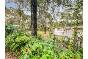 44748 BALDPATE ROAD, ALTOONA, FL 32702 - MLS#MFRO6355887