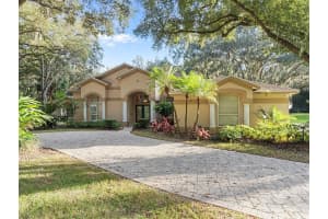 17012 Picketts Cove Rd, ORLANDO