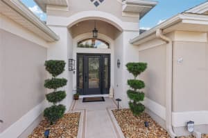 2304 FRINGE TREE TRAIL, THE VILLAGES, FL 32162 - MLS#MFRO6355959