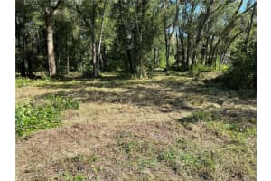 0 SR 575, DADE CITY, FL 33523 - MLS#MFRO6356032