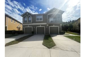 9036 Moonlit Meadows Loop, RIVERVIEW