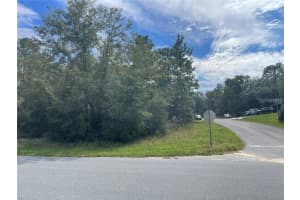 11083 TIGERWOOD TERRACE, CITRUS SPRINGS, FL 34434 - MLS#MFRO6356072