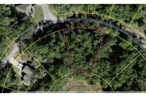 0 LOCUST RUN CIR, OCALA, FL 34472 - MLS#MFRO6356146