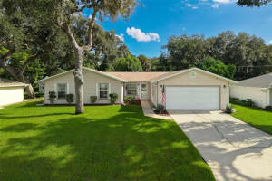 3311 NEEDLE PALM DRIVE, EDGEWATER, FL 32141 - MLS#MFRO6356224