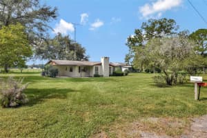 1000 155TH STREET, SUMMERFIELD, FL 34491 - MLS#MFRO6356308