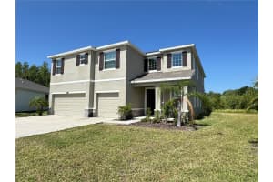 1381 BERING ROAD, WESLEY CHAPEL, FL 33543 - MLS#MFRO6356370