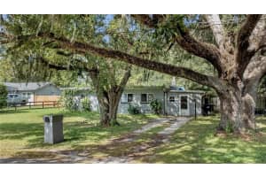 11705 SAWYER STREET, ORLANDO, FL 32817 - MLS#MFRO6356372