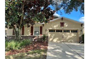 30406 LIPIZZAN TERRACE, MOUNT DORA, FL 32757 - MLS#MFRO6356671