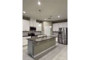 334 WINTER BLISS LANE, MOUNT DORA, FL 32757 - MLS#MFRO6356750