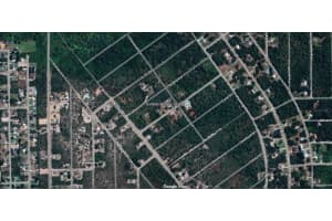 1210 VAN BUREN STREET, LAKE PLACID, FL 33852 - MLS#MFRO6356922