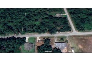 434 PERSHING AVENUE, LAKE PLACID, FL 33852 - MLS#MFRO6356923