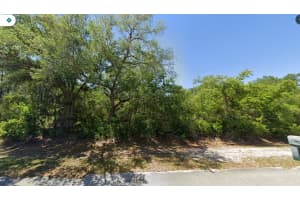 434 PERSHING AVENUE, LAKE PLACID, FL 33852 - MLS#MFRO6356923