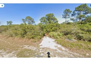 365 PERSHING AVENUE, LAKE PLACID, FL 33852 - MLS#MFRO6356927