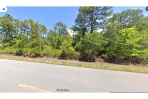 525 HALLMARK AVENUE, LAKE PLACID, FL 33852 - MLS#MFRO6356933