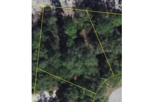 1206 VERNON LANE, KISSIMMEE, FL 34759 - MLS#MFRO6356951