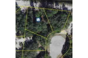 1206 VERNON LANE, KISSIMMEE, FL 34759 - MLS#MFRO6356951