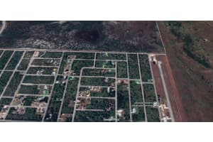 444 TIGER STREET, LAKE PLACID, FL 33852 - MLS#MFRO6357002