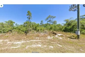 240 JACK WEISSER BOULEVARD, LAKE PLACID, FL 33852 - MLS#MFRO6357009