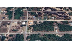 240 JACK WEISSER BOULEVARD, LAKE PLACID, FL 33852 - MLS#MFRO6357009