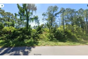 106 SENTIMENTAL COURT, LAKE PLACID, FL 33852 - MLS#MFRO6357011