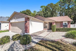11901 SNAPDRAGON ROAD, TAMPA, FL 33635 - MLS#MFRO6357189
