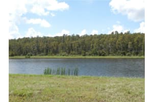 8750 DUFFERIN LANE, ORLANDO, FL 32832 - MLS#MFRO6357252