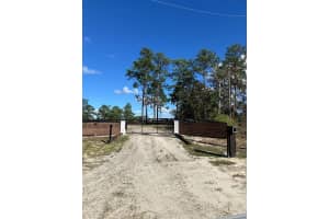 12991 77TH STREET, MORRISTON, FL 32668 - MLS#MFRO6357441