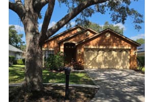 427 DUNOON STREET, OCOEE, FL 34761 - MLS#MFRO6357514