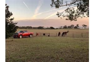 12350 97TH PLACE, DUNNELLON, FL 34431 - MLS#MFRO6357650