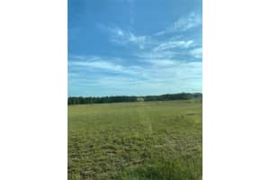 12350 97TH PLACE, DUNNELLON, FL 34431 - MLS#MFRO6357650