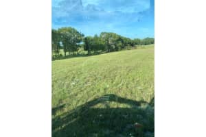 12350 97TH PLACE, DUNNELLON, FL 34431 - MLS#MFRO6357650