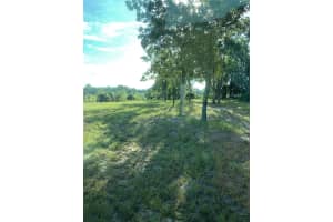 12350 97TH PLACE, DUNNELLON, FL 34431 - MLS#MFRO6357650