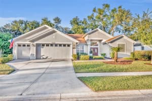 6033 FALCONBRIDGE PL, MOUNT DORA, FL 32757 - MLS#MFRO6357796