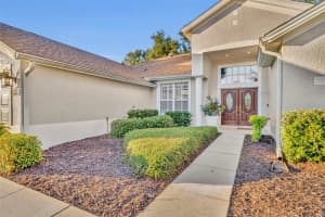 6033 FALCONBRIDGE PL, MOUNT DORA, FL 32757 - MLS#MFRO6357796