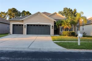 31203 Anniston Dr, WESLEY CHAPEL 31203 Anniston Dr, WESLEY CHAPEL