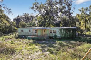 3140 162ND PLACE, CITRA, FL 32113 - MLS#MFRO6358043