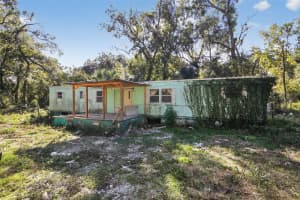 3140 162ND PLACE, CITRA, FL 32113 - MLS#MFRO6358043