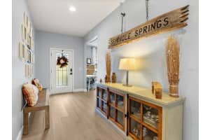 30021 DONNINGTON LOOP, MOUNT DORA, FL 32757 - MLS#MFRO6358167