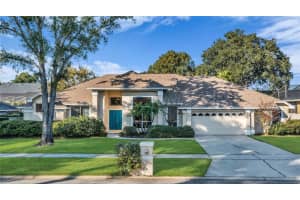 4119 PECAN LANE, ORLANDO, FL 32812 - MLS#MFRO6358190