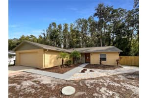 16409 LAKE BYRD DRIVE, TAMPA, FL 33618 - MLS#MFRO6358233