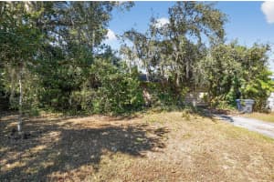 1008 HALLWOOD LOOP, BRANDON, FL 33511 - MLS#MFRO6358244